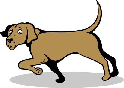 Confused Pointer